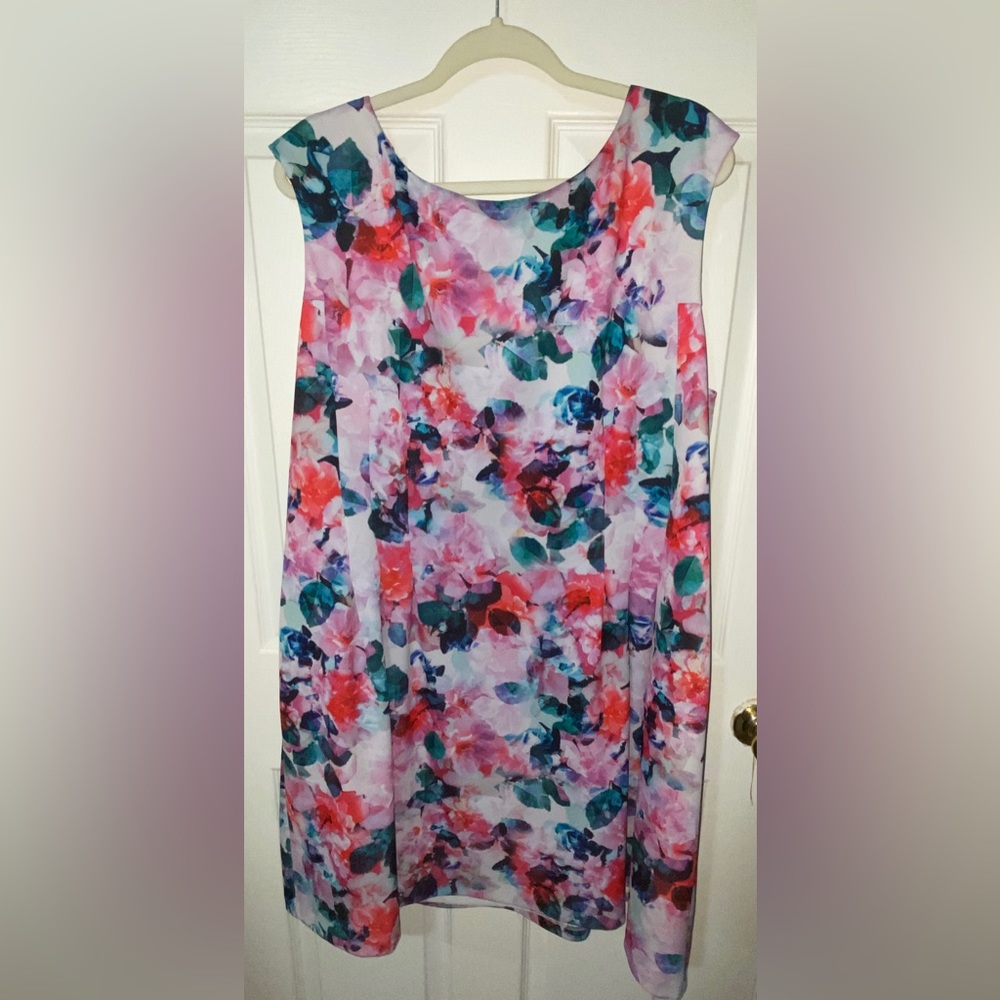 Eliza J 22W Floral Dress
